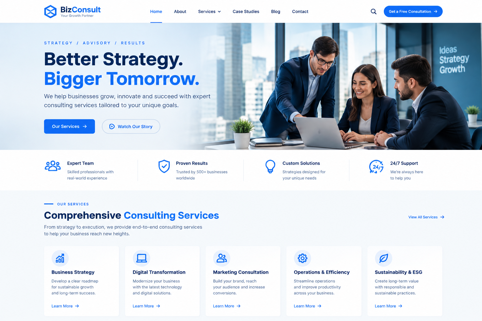 InfoPicko consulting firm website design demo